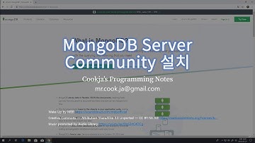 MongoDB 설치