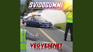 Vegvesenet