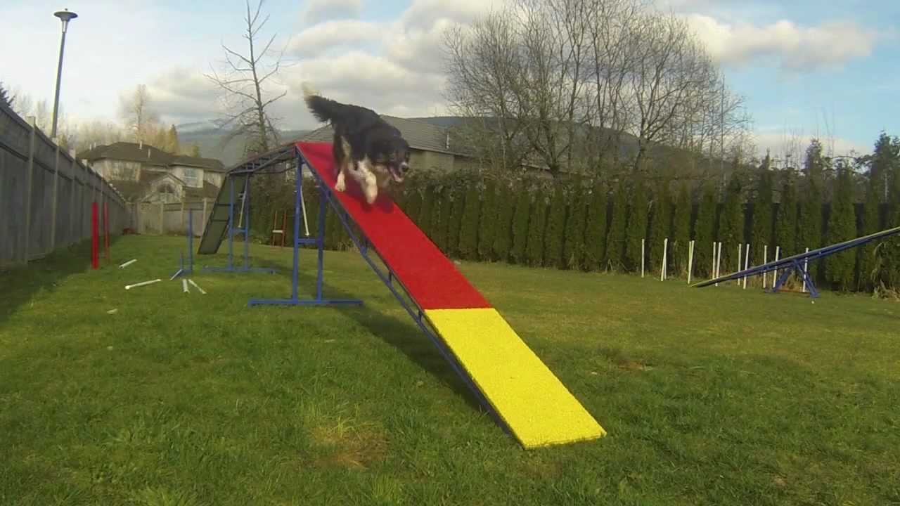 Dogwalk rubber skins from Agility A Go Go YouTube
