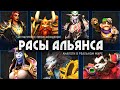 За Альянс! | Культурный анализ рас Warcraft