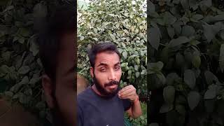 झालमुरी narendramodi Parody Video #bjp #viral #parody #narendramodi #trending #shorts