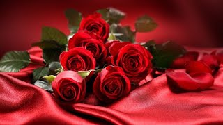 أجمل الورود الحمراء ? الورد الجوري
