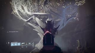 Quest: Interference, Means to an End (Week 1 Transcript) | Destiny 2 Season of Arrivals