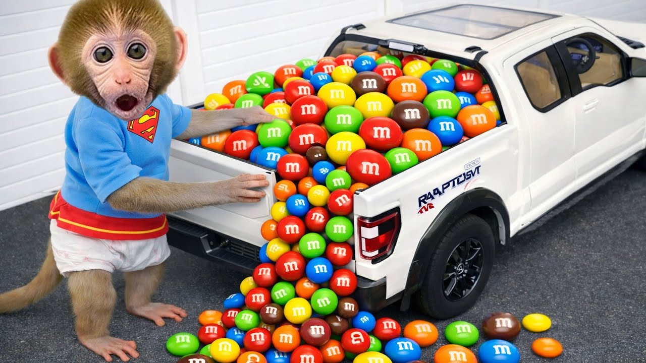 Monkey BonBon i niespodziewana przygoda na stacji benzynowej – Monkey Poland