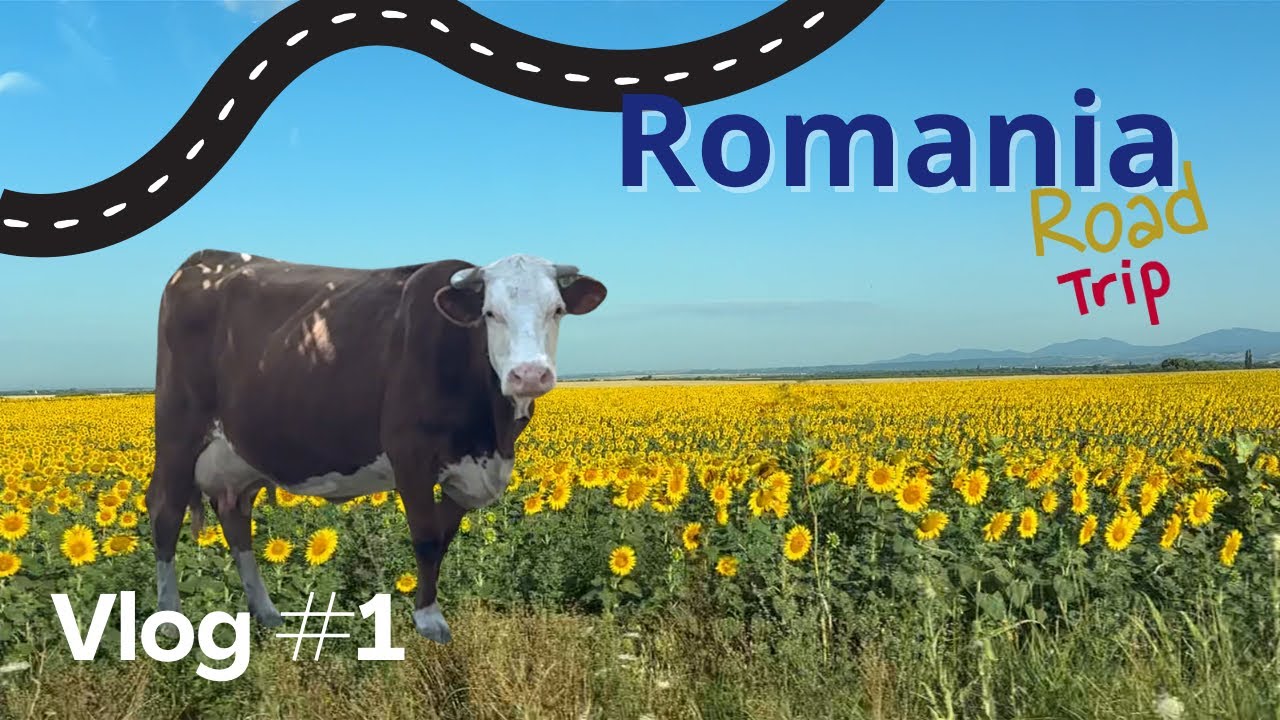 Road Trip Romania (Banat) -  Meeting family, animals and slow village life - Vlog #1
