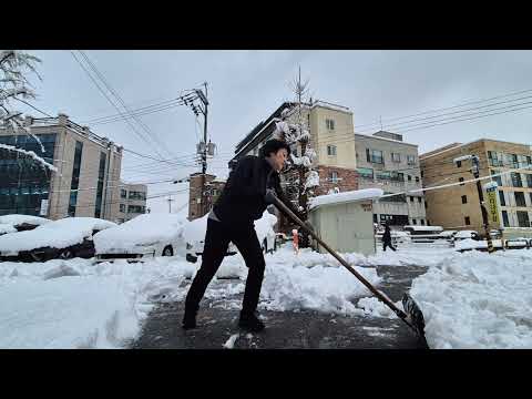 눈쓸기