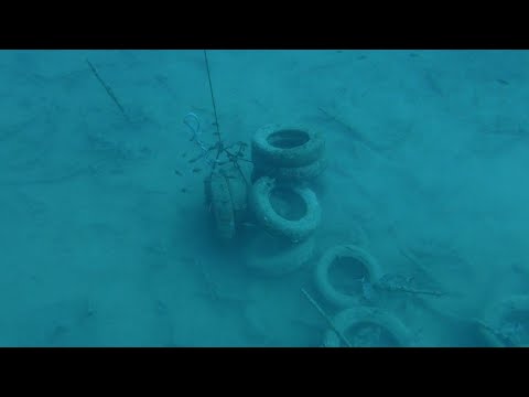 Painstaking process to remove thousands of tyres from Med