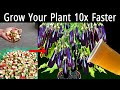 How to Turn Trash into Treasure: Shocking Results with Watermelon Peel Fertilizer!