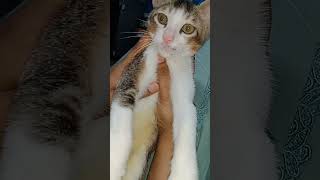 Billi Ghr Me Ek Hi Insan Se Attech Hoti H