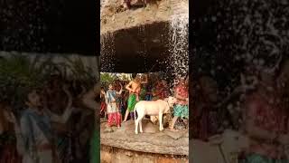 Govardhan Parvat Uthate Hue Krishna