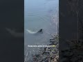 Рыбалка когда не клювало весь день!!🎣