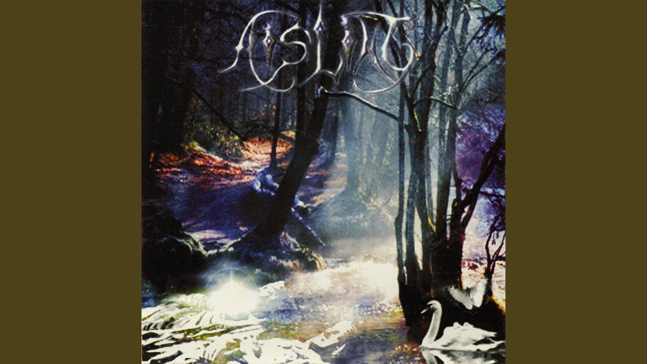 Memories of a Timeless Vision