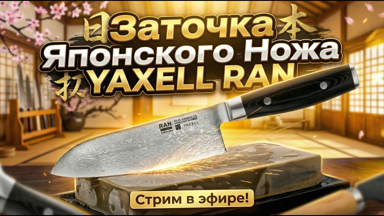 🔪Yaxell для кухни🔥Заточка Ножа Сталь VG-10 ✅ #заточканожей #yaxell #кухонныйнож