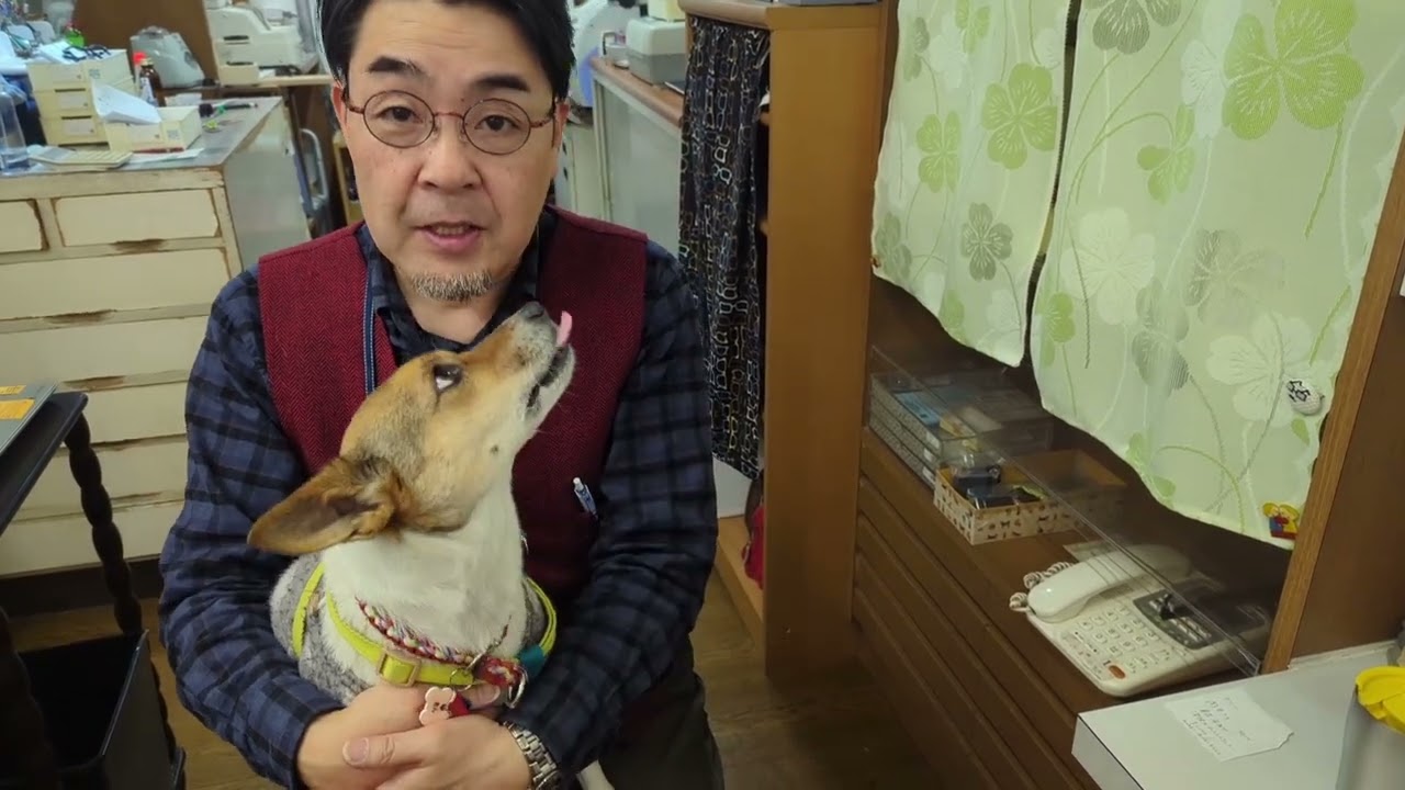 ワンワンワンワン - YouTube