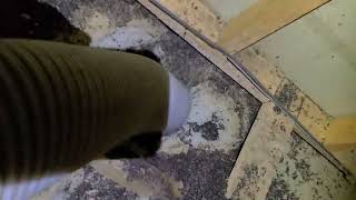 Cleaning Out A Mive Pile Of Bat Guano In An Attic