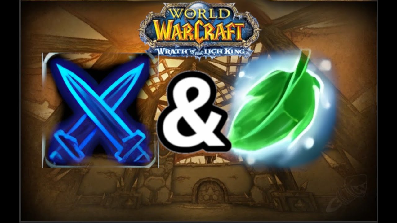 Assa Rogue/Resto Druid VS Holy Pal/Warrior - Wotlk 2v2 Arena ~2.2k mmr