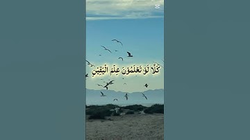 سورة التكاثر #quran #المصحف #الرحمن #دويتو #اكسبلور #دعاء #لايك