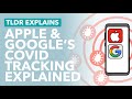 How Apple & Google COVID Tracing Apps Work: Government Surveillance or High Tech Genius? - TLDR News