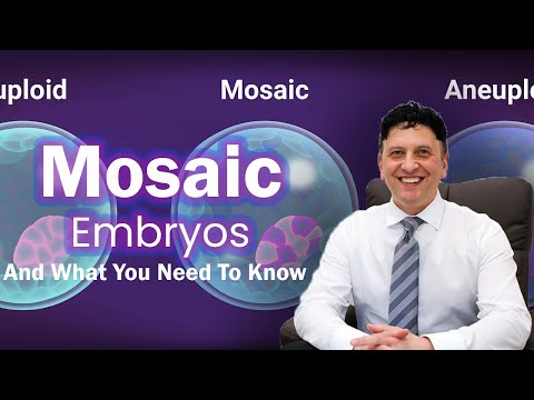 Mosaic Embryo