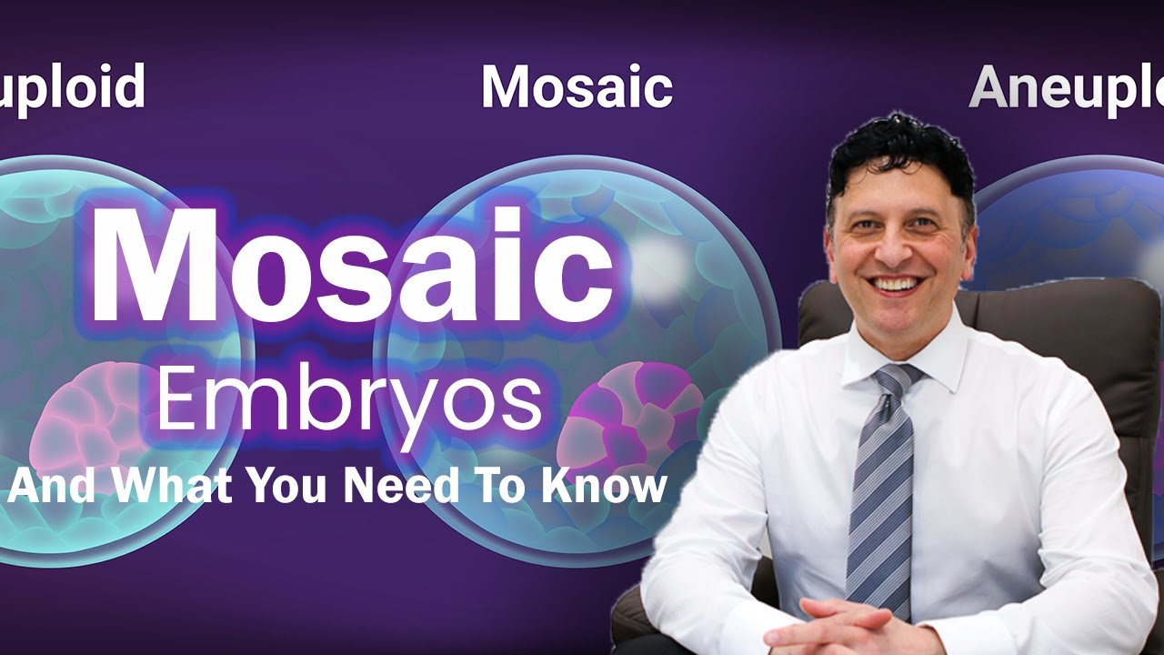 Mosaic Embryo