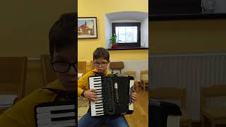 Mamma Mia-ABBA-accordion cover