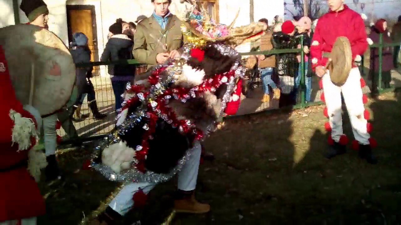 Cerbul de la Sinești Iași