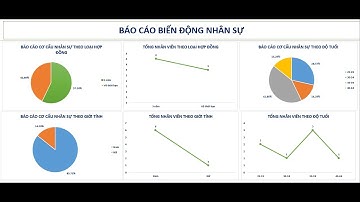 Báo cáo nhân sự Báo cáo thống kê biến động nhân sự sử dụng power query excel power bi