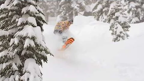 A Little Pow Stash We Like to Call Sierra