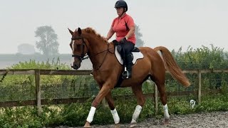 Carlos Flatwork