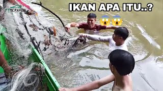 JALA IKAN NYANGKUT, TERNYATA INI PENYEBABNYA ‼️PANEN IKAN LAGI