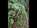 #shorts My 1944 Lee Enfield SMLE .303 British hunting rifle