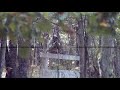 FAIL & WIN of SNIPER Airsoft