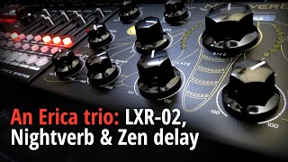 An Erica Trio Lxr-02, Nightverb Zen Delay