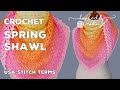 Crochet Spring Triangle Shawl 