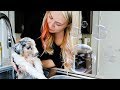 PUPPY FIRST BATH DISASTER! 🐶 🛁