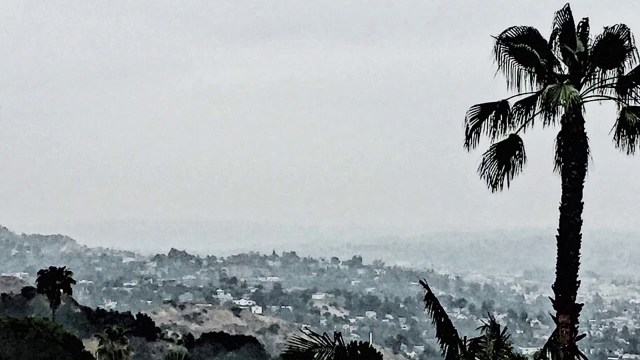 Roses and violets Alexander Jean ( lyrics) YouTube