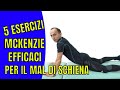 5 Esercizi Mckenzie per il Mal di Schiena Efficaci (che ho testato)