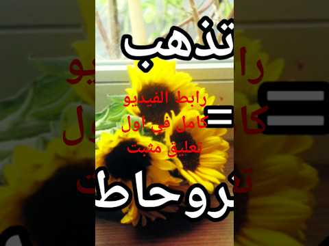 فيديو مهم لكل من يحب تعلم القبائلية والأمازيغة