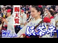 【ワンピースでいうと四皇!】最終日「娯茶平」の大迫力の踊り 徳島市阿波おどり2022#阿波おどり #阿波踊り #阿波舞 #japan