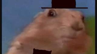 Dramatic chipmunk kills Luigi