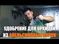 Как сделать простое удобрение из кожуры апельсина для орхидеи своими руками.