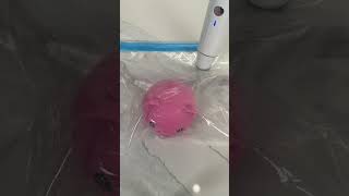 Vacuum Sealer vs. Piggy?? squishy oddlysatisfying asmr