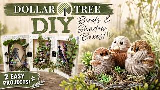 Charming Bird Decor for Nature Lovers | Easy DIYs screenshot 3