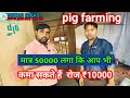 How to Start pig farming in india | Sucess Story of AGS pig farming | AGS|  राजस्थान में सुअर फार्म