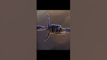 What is Resistivity | Class 10 Electricity #science #physics #class10science  #learnspark