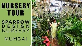 Sparrow Design Nursery Tour | Mumbai Nursery | Exotic plants | Ferns | Indoor Plants | Outdoor Plant