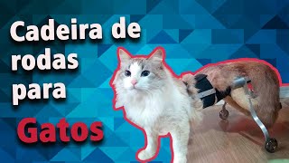 Como fazer cadeira de rodas para Gato  DIY