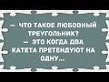 Что такое любовный треугольник? Сборник свежих анекдотов! Юмор!