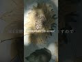 お部屋にアートを 絵を飾る #アート #個展 #部屋作り #空間デザイン
