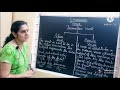 Understanding Active and Passive Voice